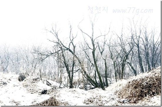철천지DSC06221-20130116-085744