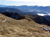 Pogled na planino Krstenica s Pokljuka in bohinjsko dolino v ozadju