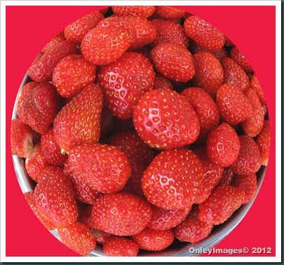 strawberries circle