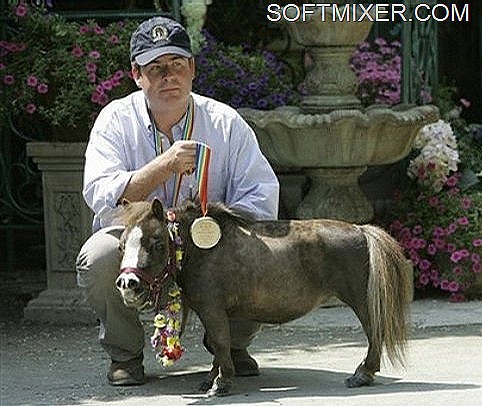 [1832A3464F71A99D14CDBC%255B10%255D.jpg]