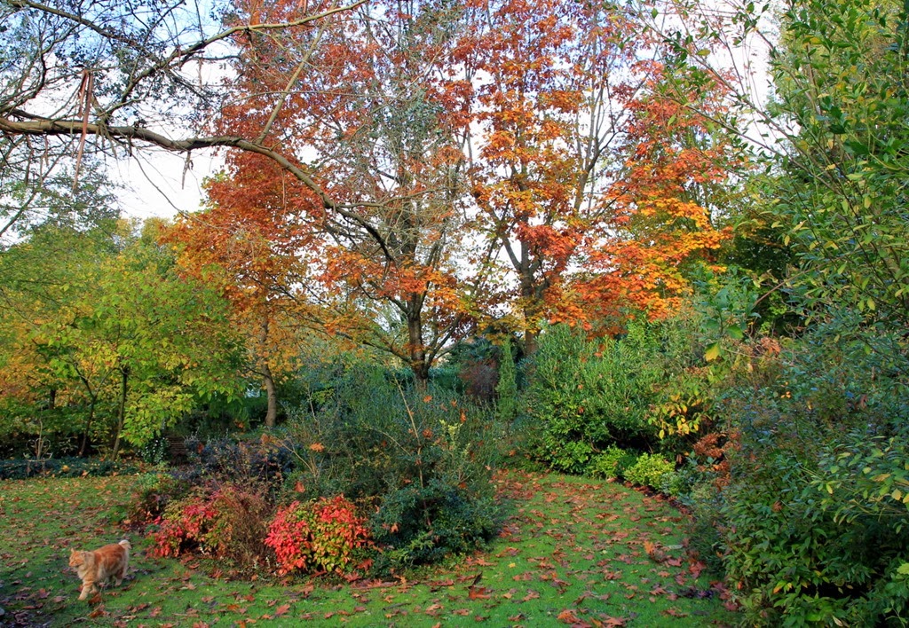 [IMG_0018%255B3%255D.jpg]