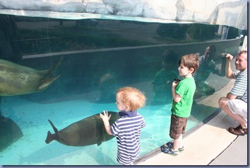 IMG_5379 IMG_5379