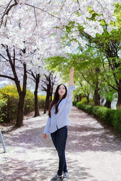 Bambi (밤비) Lacerta Photography