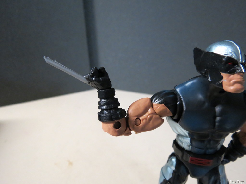 [Wolverine-483.jpg]