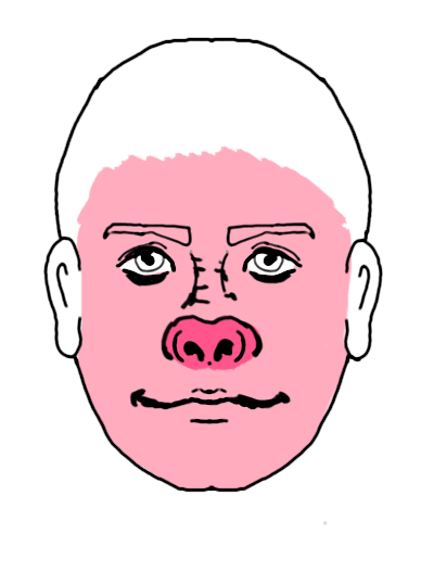 maquillaje cerdo (1)