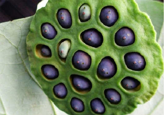 [clip_image003%255B4%255D.jpg]