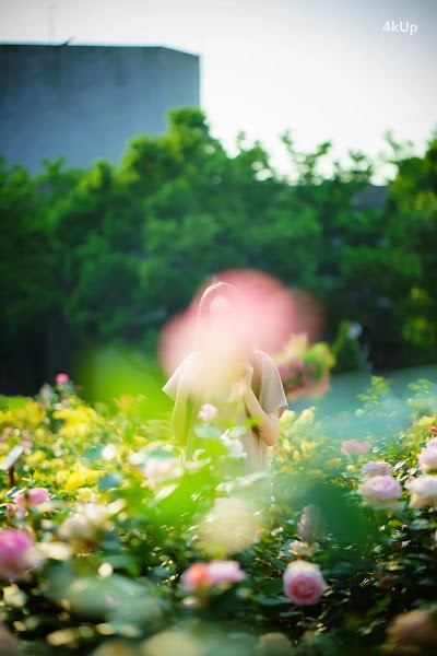 Bambi (밤비) Lacerta Photography
