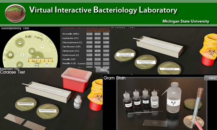 Laboratório Virtual Interativo de Bacteriologia
