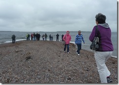 fortrose chanonry point