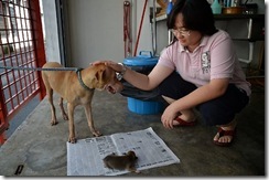 Ginger with Baby TinTin