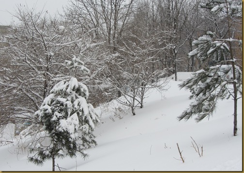 вьюга дорожку замела. метель. вьюга дорожку замела. вьюга кружится. метель дорожки запорошила.