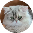 Image Google de Sylvie