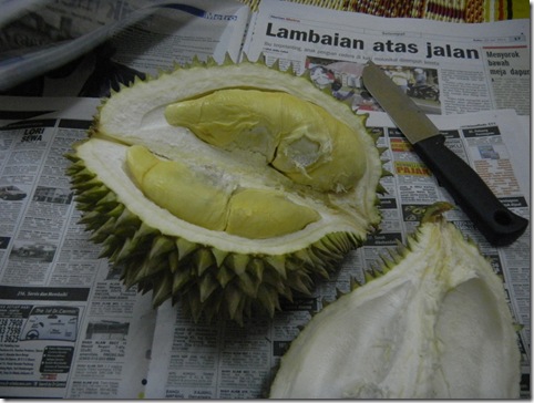 Durian Balik Pulau 2