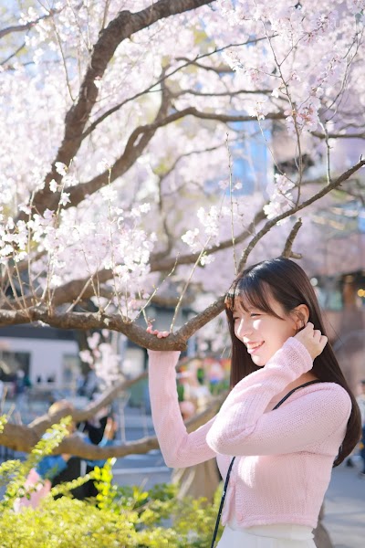 [Patreon] 쏘블리 (@leeesovely) Sakura Part1