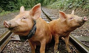 [clip_image005%255B8%255D.jpg]