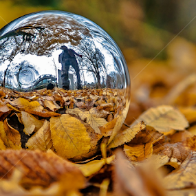 Autumn Reflection. by Jesus Giraldo - Artistic Objects Other Objects