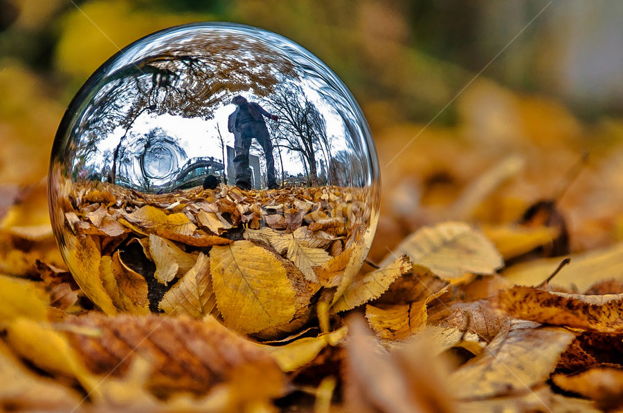 Autumn Reflection. by Jesus Giraldo - Artistic Objects Other Objects