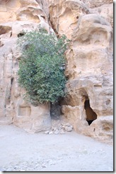 Oporrak 2011 - Jordania ,-  Pequeña Petra, 22 de Septiembre  23