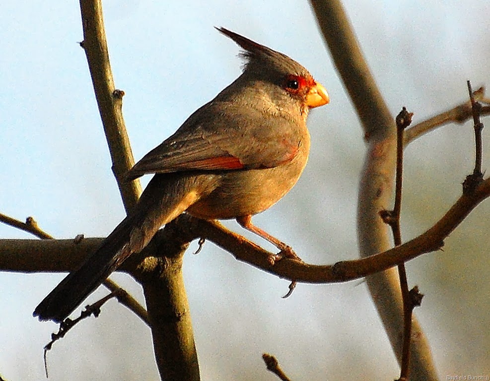 [DSC_1096%255B4%255D.jpg]