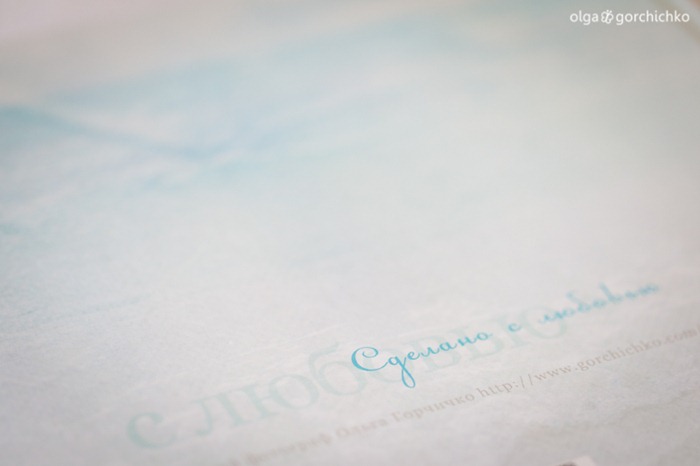 Fotokniga-letniaya-progulka-Gery-5