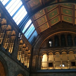 The Natural History Museum ceiling detail