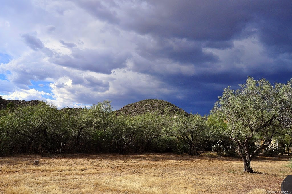 [DSC_0007%255B3%255D.jpg]