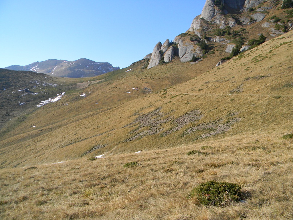 [DSCN47733.jpg]