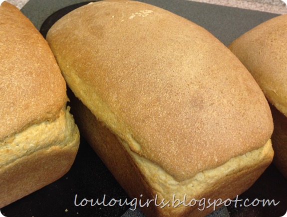 homemade wheat bread