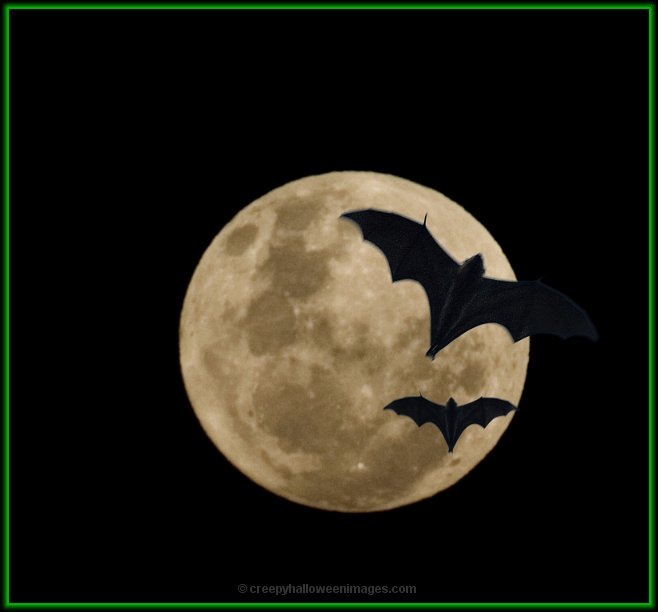 [moon_with_bats_DSC3886b%255B25%255D.jpg]