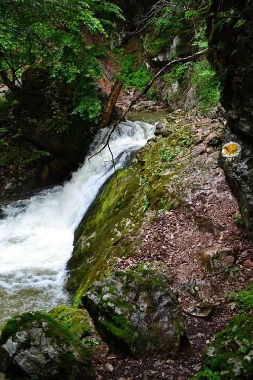 [DSC_00924.jpg]