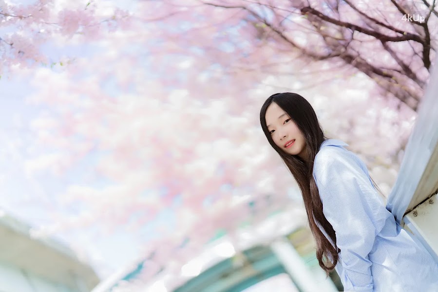 Bambi (밤비) Lacerta Photography