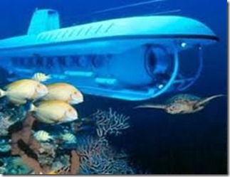 Atlantis Submarine Waikiki_under water