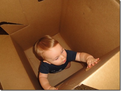 3.  Playing in the box