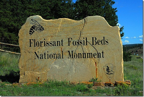 Fossil-Beds