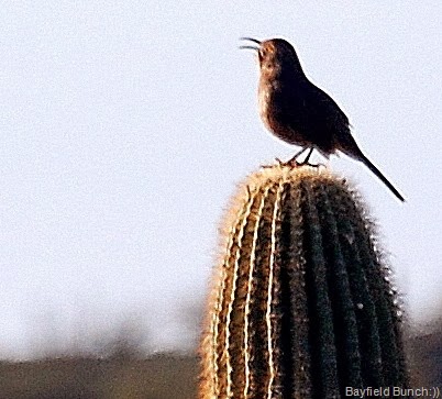 [DSC_5562%255B4%255D.jpg]