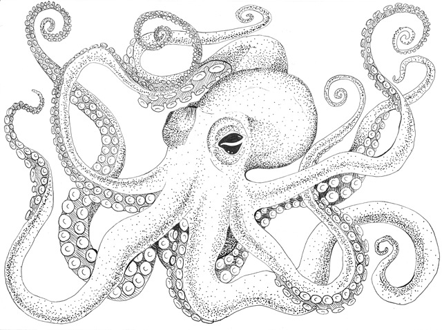 [octopusssss%2520print%255B4%255D.jpg]