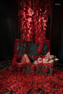 Coser@云溪溪 (Yunx1x1) Vol.068 奶桃桃-狗狗4.0