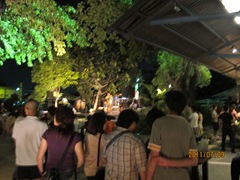 110709 238-台東鐵花村