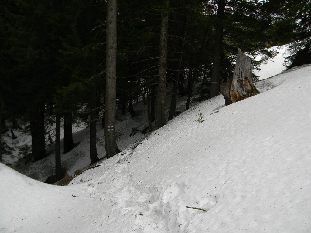 [DSCN64913.jpg]