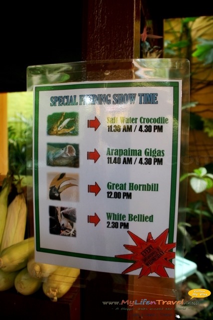 [Langkawi%2520bird%2520paradise%252029%255B3%255D.jpg]