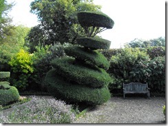 levens hall topiary 13
