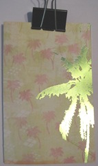 pamphlet book 3 hole lime palm tree cover
