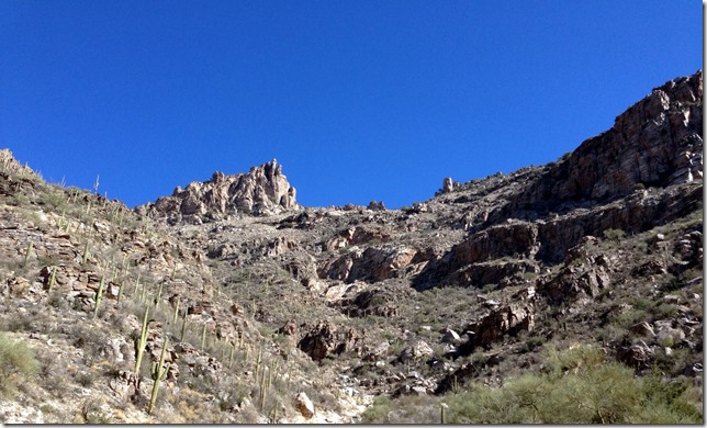 Sabino Blue Sky 1-20-2013 1-00-32 PM 2048x1235