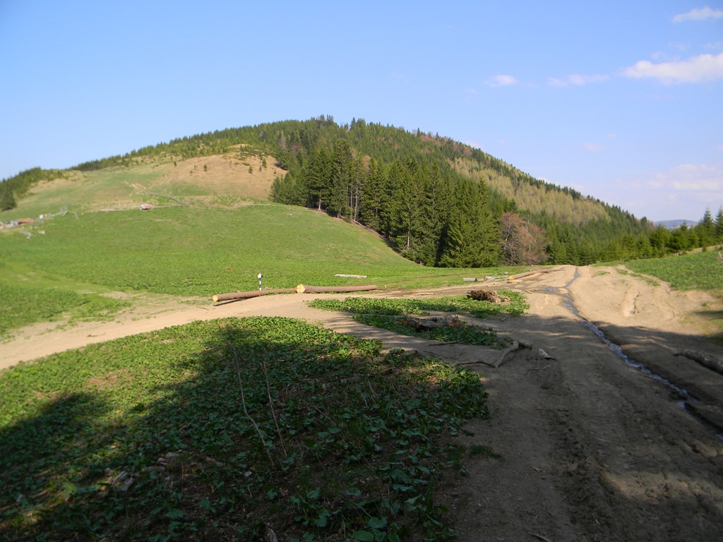 [DSCN79863.jpg]