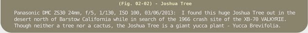 Image Title Bar 66 Fig 02-02 Joshua Tree