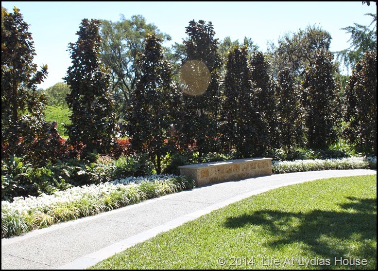 Dallas Arboretum - pumpkin festival-white garden 2