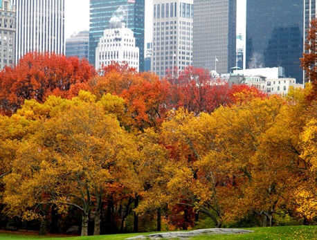Autumn_colors_new_york_skyline