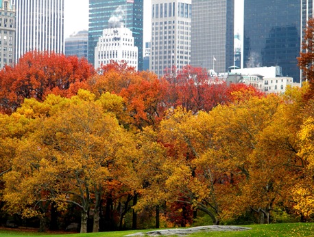 Autumn_colors_new_york_skyline Autumn_colors_new_york_skyline
