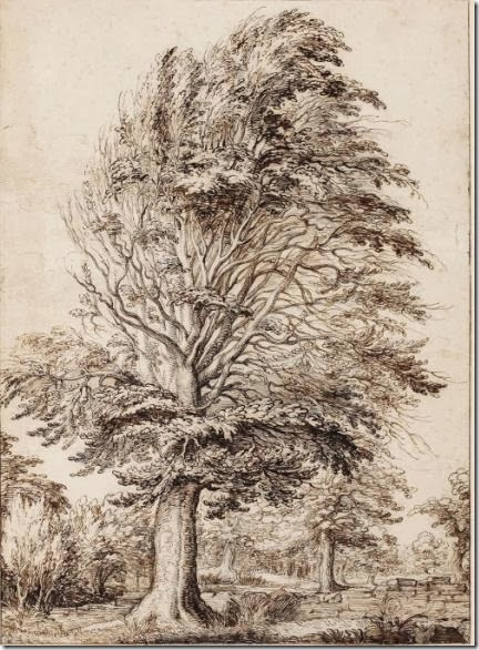 Jacques de Gheyn II (circa 1565-1629). A large beech tree
