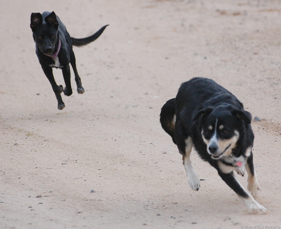 [DSC_7614%255B3%255D.jpg]